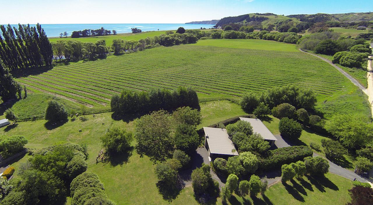 Te Awanga Cottages Extérieur photo